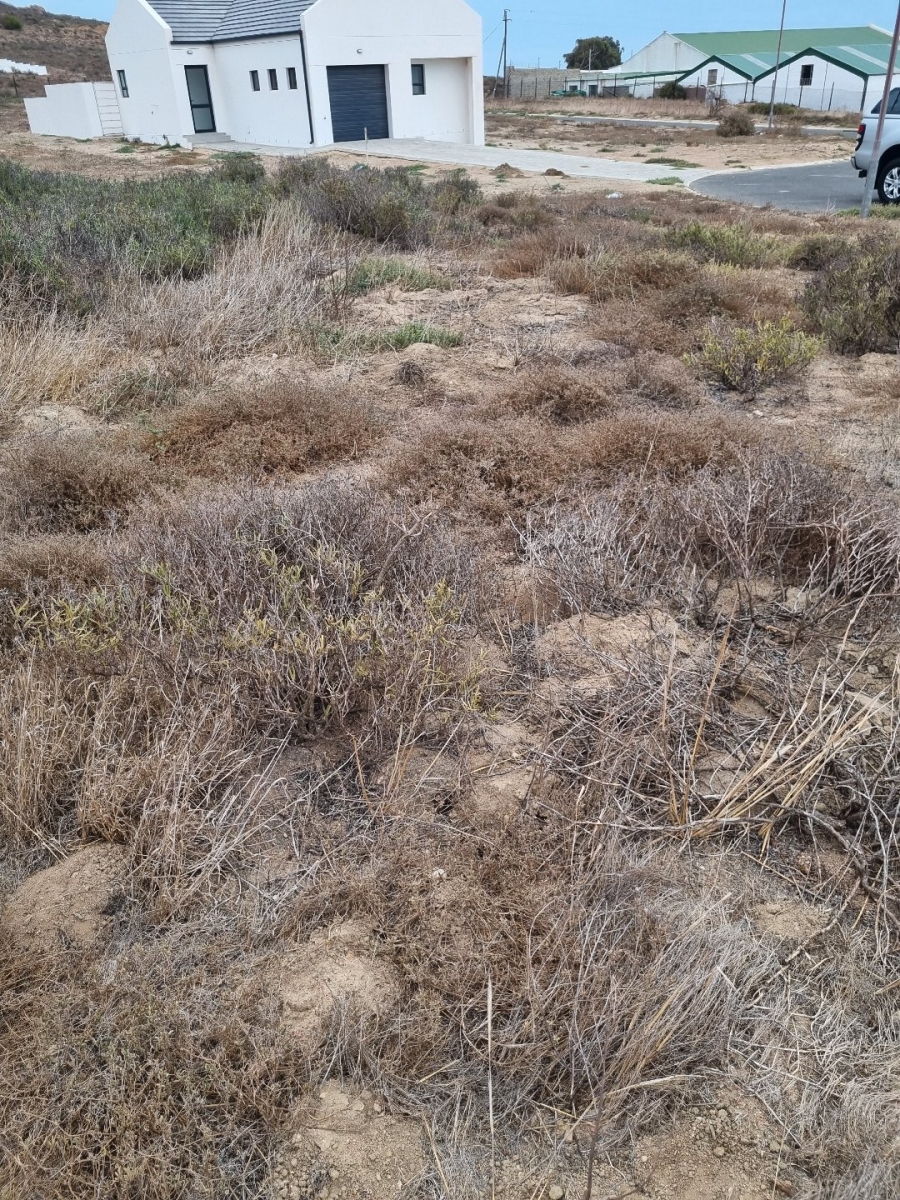 2 Bedroom Property for Sale in St Helena Views Western Cape